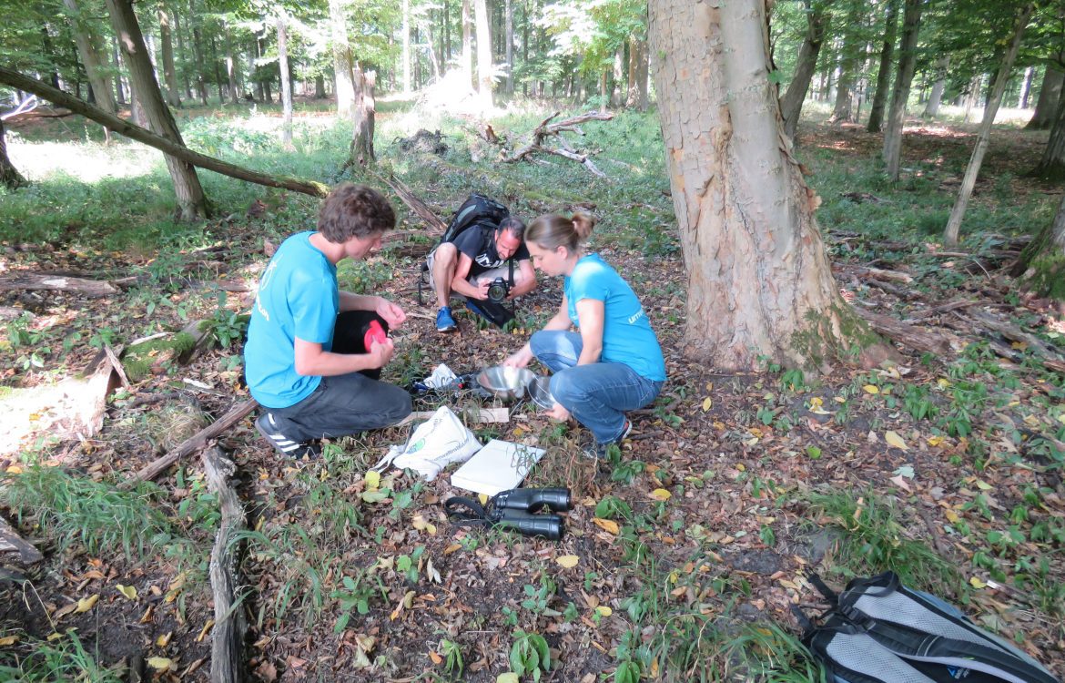 Aufbau eines Passivsammlers durch Mitarbeiter:innen vom Umweltinstitut München im Buchenwald Grumsin, Kernzone des Biosphärenreservats Schorfheide-Chorin, Brandenburg