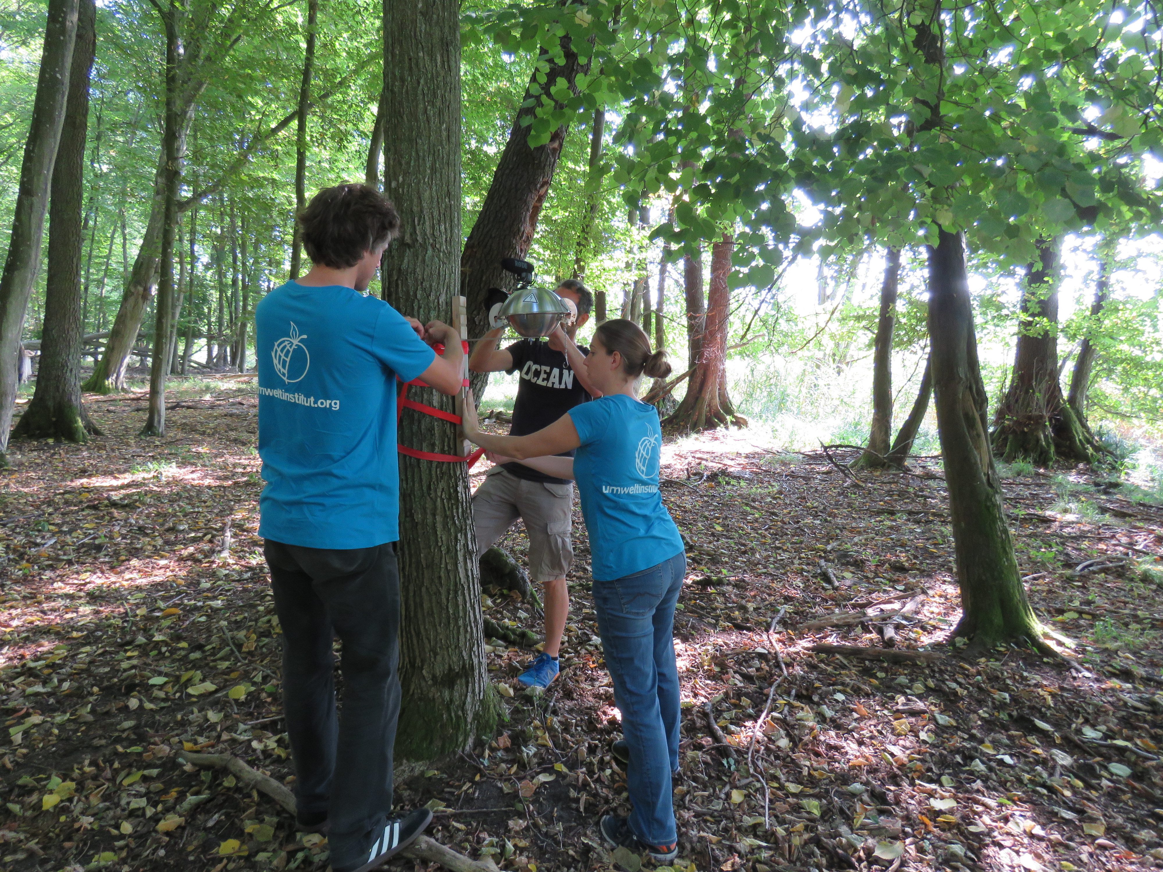 Befestigung eines Passivsammlers durch Mitarbeiter:innen vom Umweltinstitut München an einem Baum im Buchenwald Grumsin, Kernzone des Biosphärenreservats Schorfheide-Chorin, Brandenburg