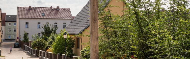 Passivsammler im Hinterhof des Naturkostladens Wildblume in Angermünde, Brandenburg