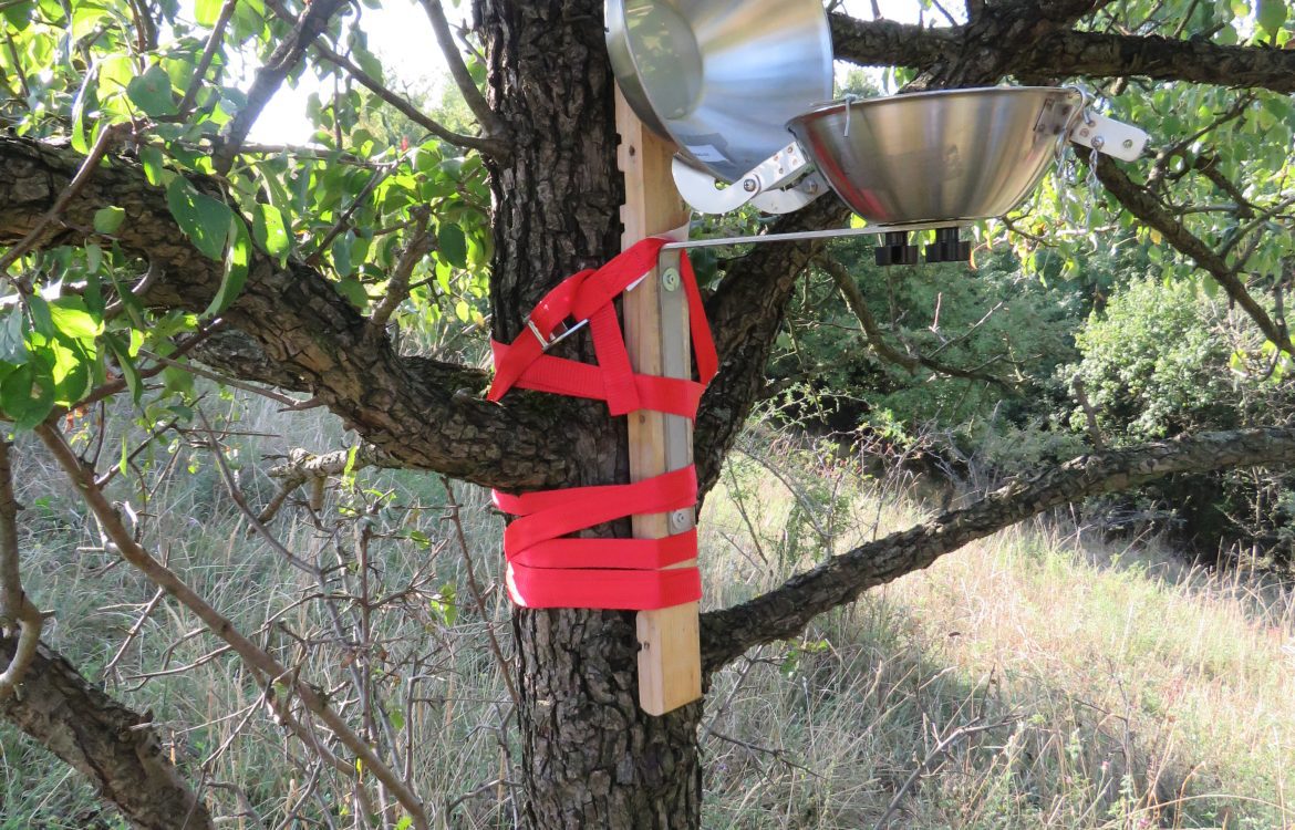 Passivsammler an Baum auf dem Kleinen Rummelsberg, Landschaftsschutzgebiet im Biosphärenreservat Schorfheide-Chorin, Brandenburg. Umgeben von Bio-Landwirtschaft