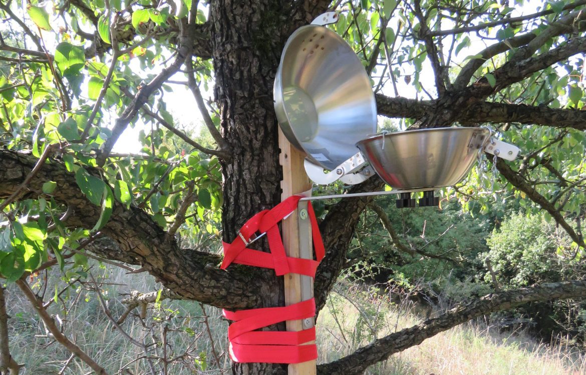 Passivsammler an Baum auf dem Kleinen Rummelsberg, Landschaftsschutzgebiet im Biosphärenreservat Schorfheide-Chorin, Brandenburg. Umgeben von Bio-Landwirtschaft