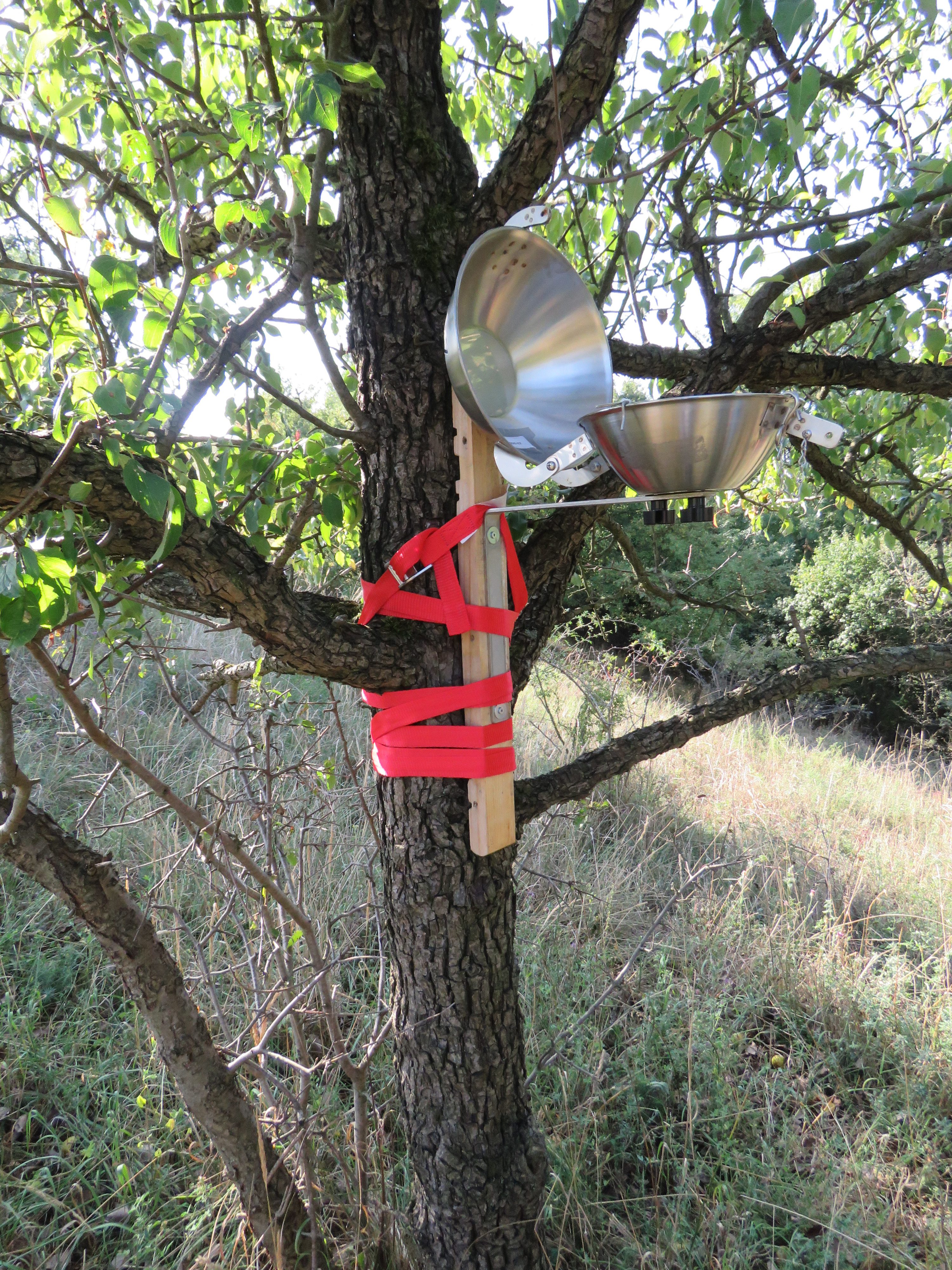 Passivsammler an Baum auf dem Kleinen Rummelsberg, Landschaftsschutzgebiet im Biosphärenreservat Schorfheide-Chorin, Brandenburg. Umgeben von Bio-Landwirtschaft