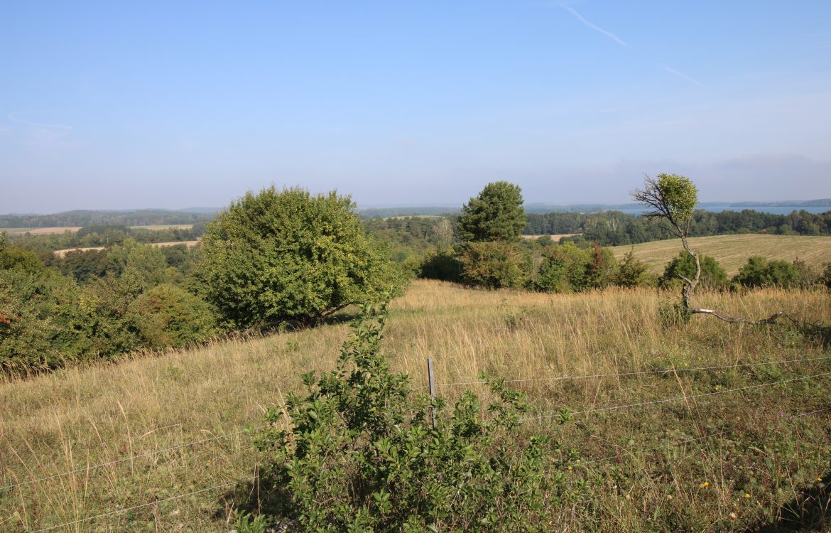 Ausblick vom Kleinen Rummelsberg, Landschaftsschutzgebiet im Biosphärenreservat Schorfheide-Chorin, Brandenburg