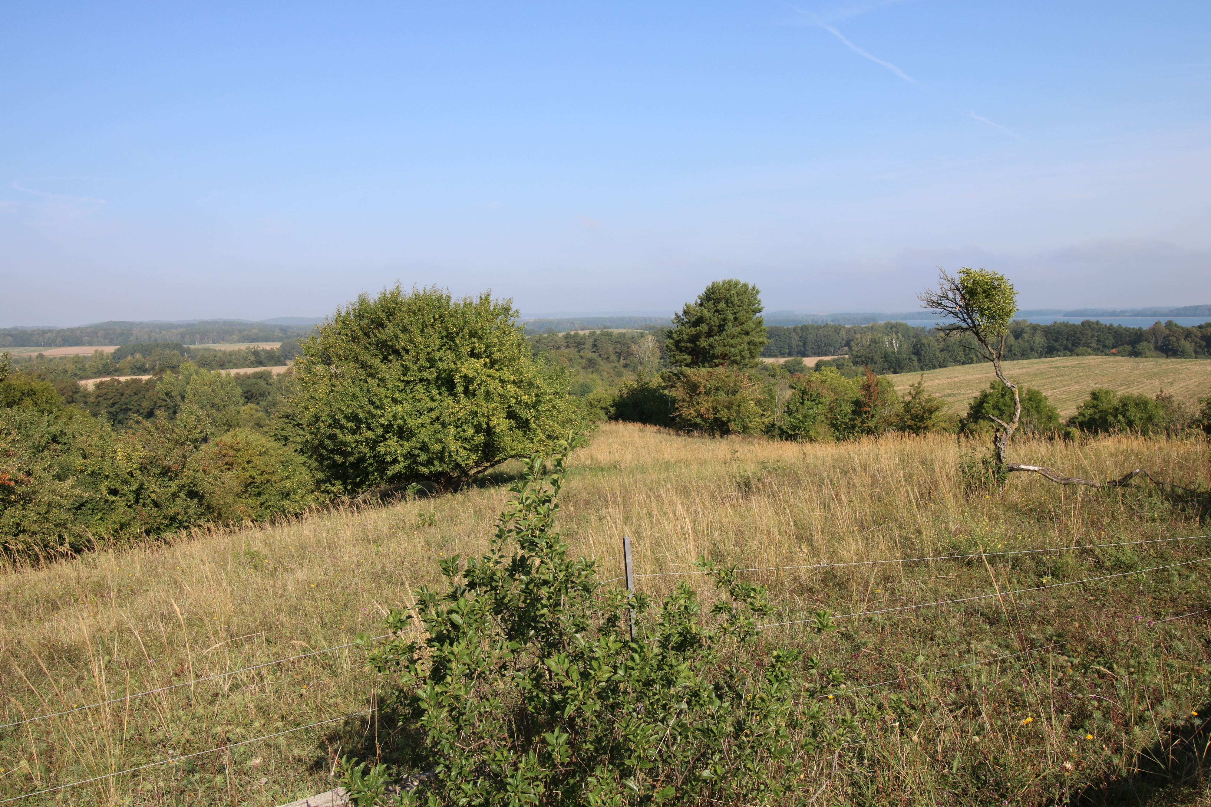 Ausblick vom Kleinen Rummelsberg, Landschaftsschutzgebiet im Biosphärenreservat Schorfheide-Chorin, Brandenburg