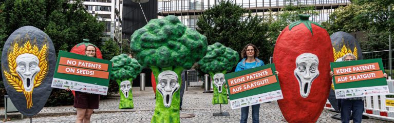 Übergabe des Patentberichts an das Europäischen Patentamt in München
