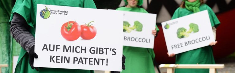 Demonstration mit Schildern und übergroßen Figuren von Tomate und Brokkoli gegen Patente auf Pflanzen im Oktober 2014