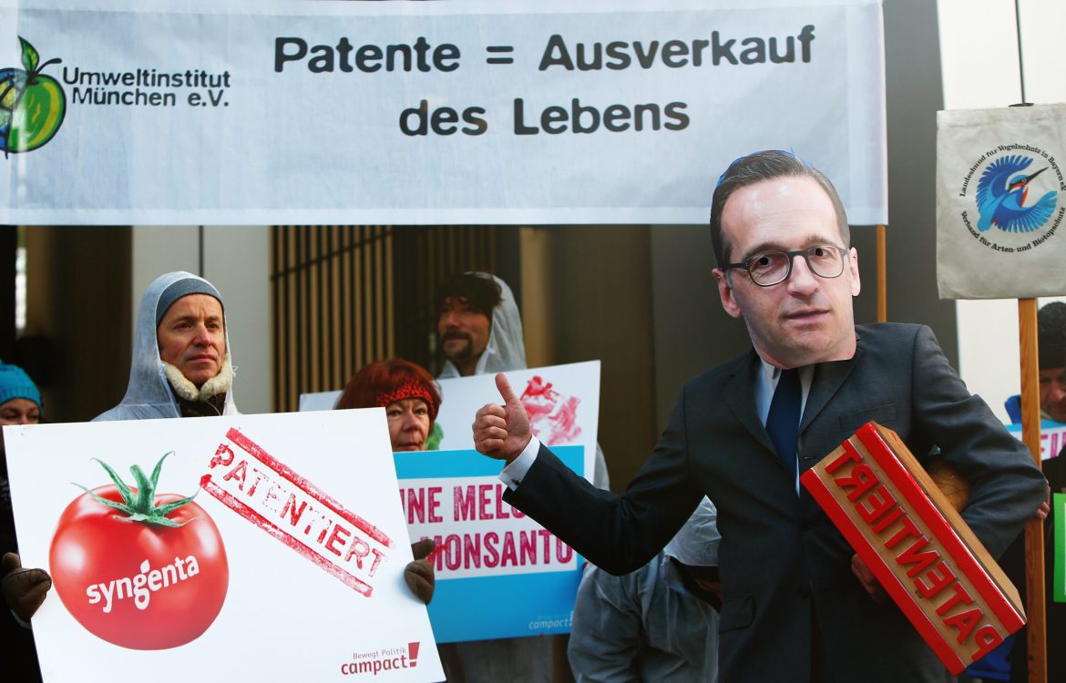 Protestaktion gegen Patente auf Leben und konkret ein Melonenpatent, mit Bannern, Schildern und einer Heiko Maas Maske im Jahr 2016