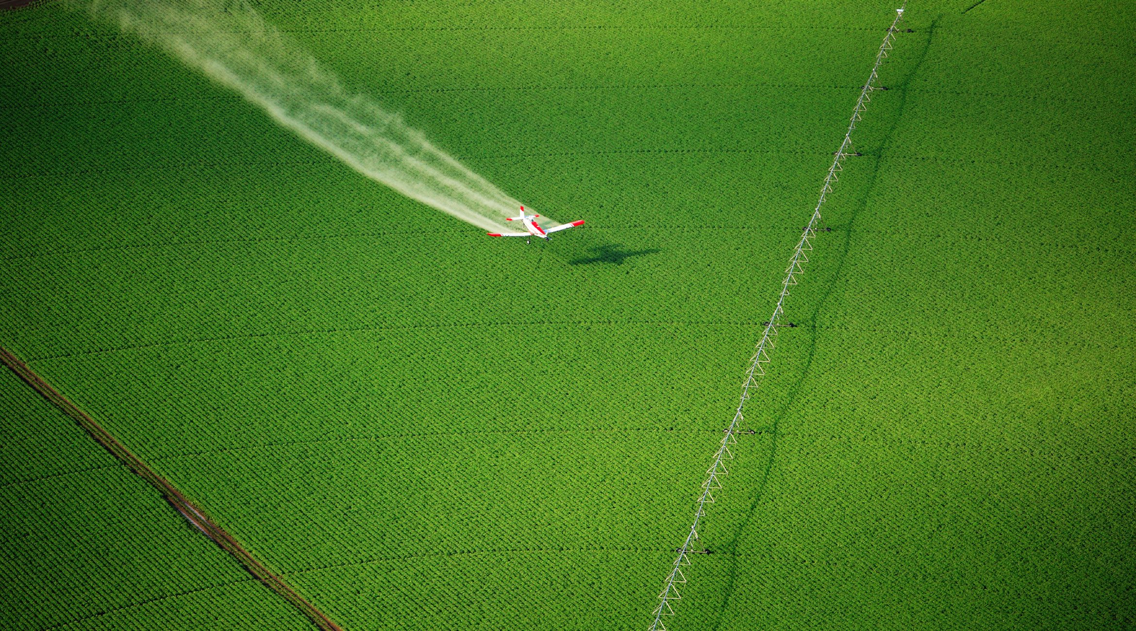 Flugzeug versprüht Pestizide wie Glyphosat auf riesiges Soja-Feld