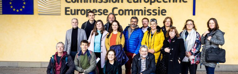Die Europäische Bürgerinitiative 