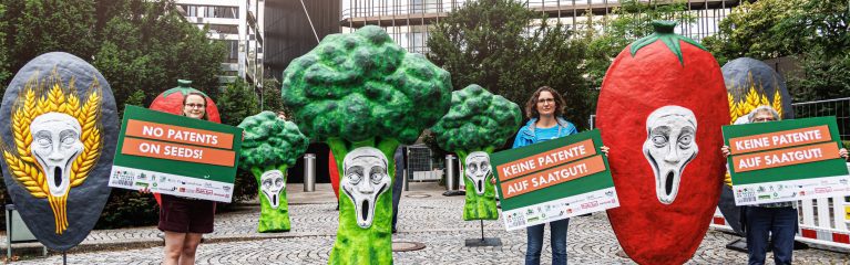 Das Bild zeigt eine Demoaktion gegen Saatgutpatente. Zu sehen sind verschiedene, ca. 2,5 Meter hohe Gemüseaufsteller mit schreckverzerrten Gesichtern. Dazwischen stehen Menschen mit Schildern auf denen steht: Keine Patente auf Saatgut!