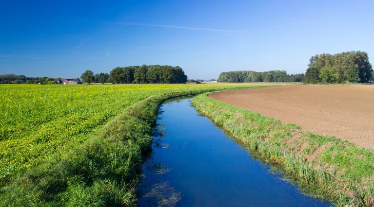 Ein Bach, der durch eine Agrarlandschaft fließt