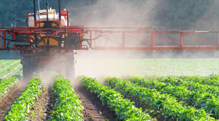 Ein spritzender Traktor fährt über ein Feld.