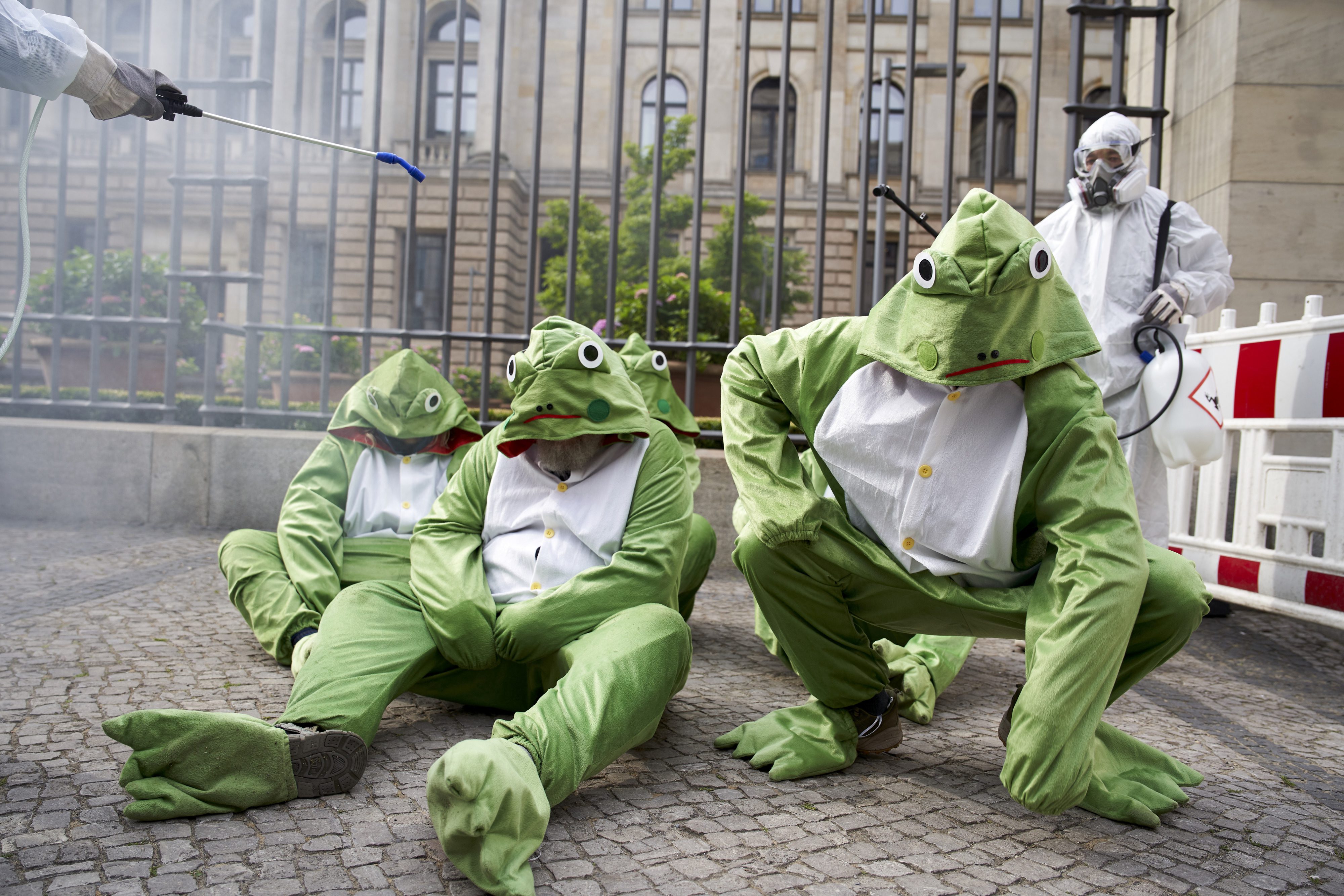 aktuelle meldung image frosch aktion bundesrat3c anne barth