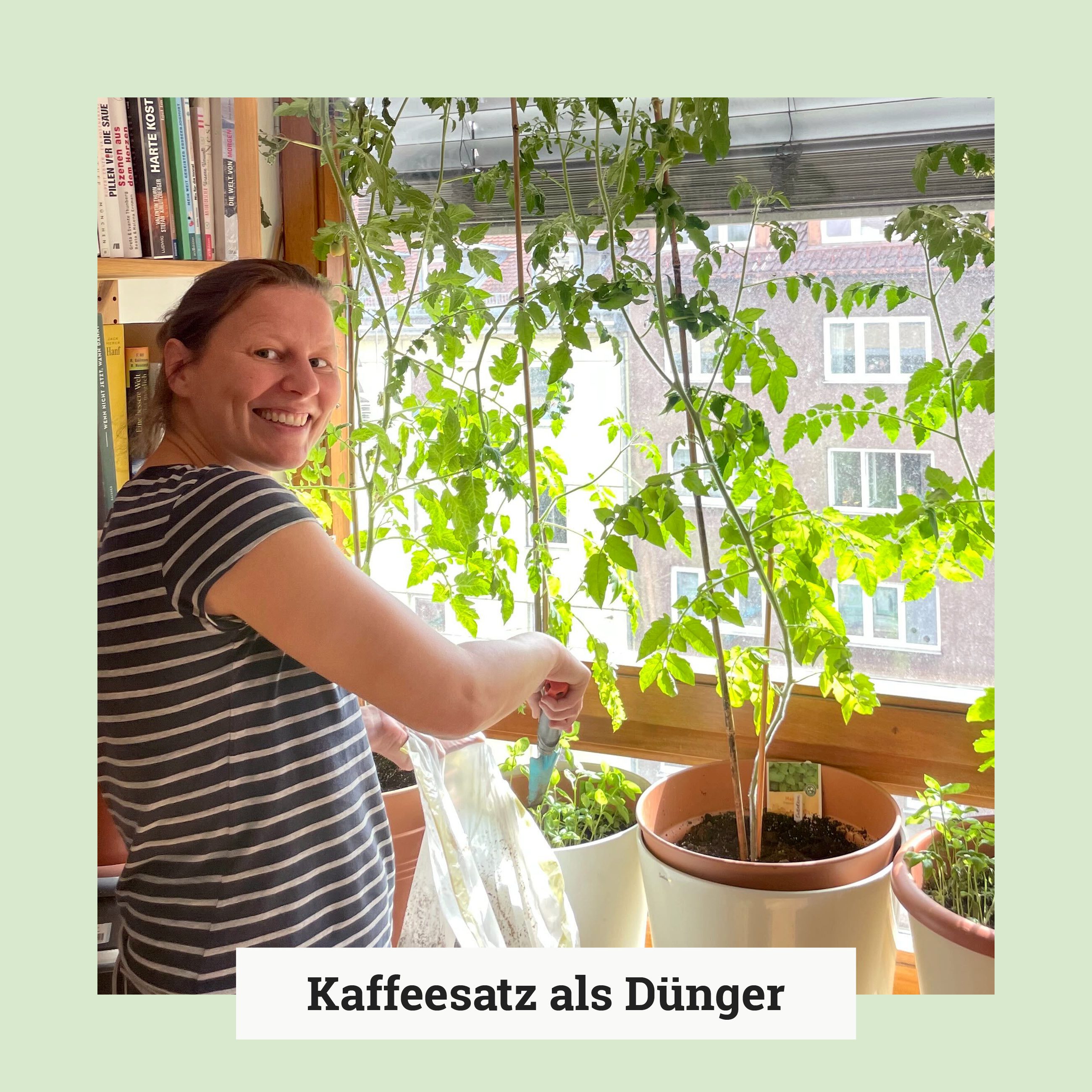 Kaffeesatz als Dünger