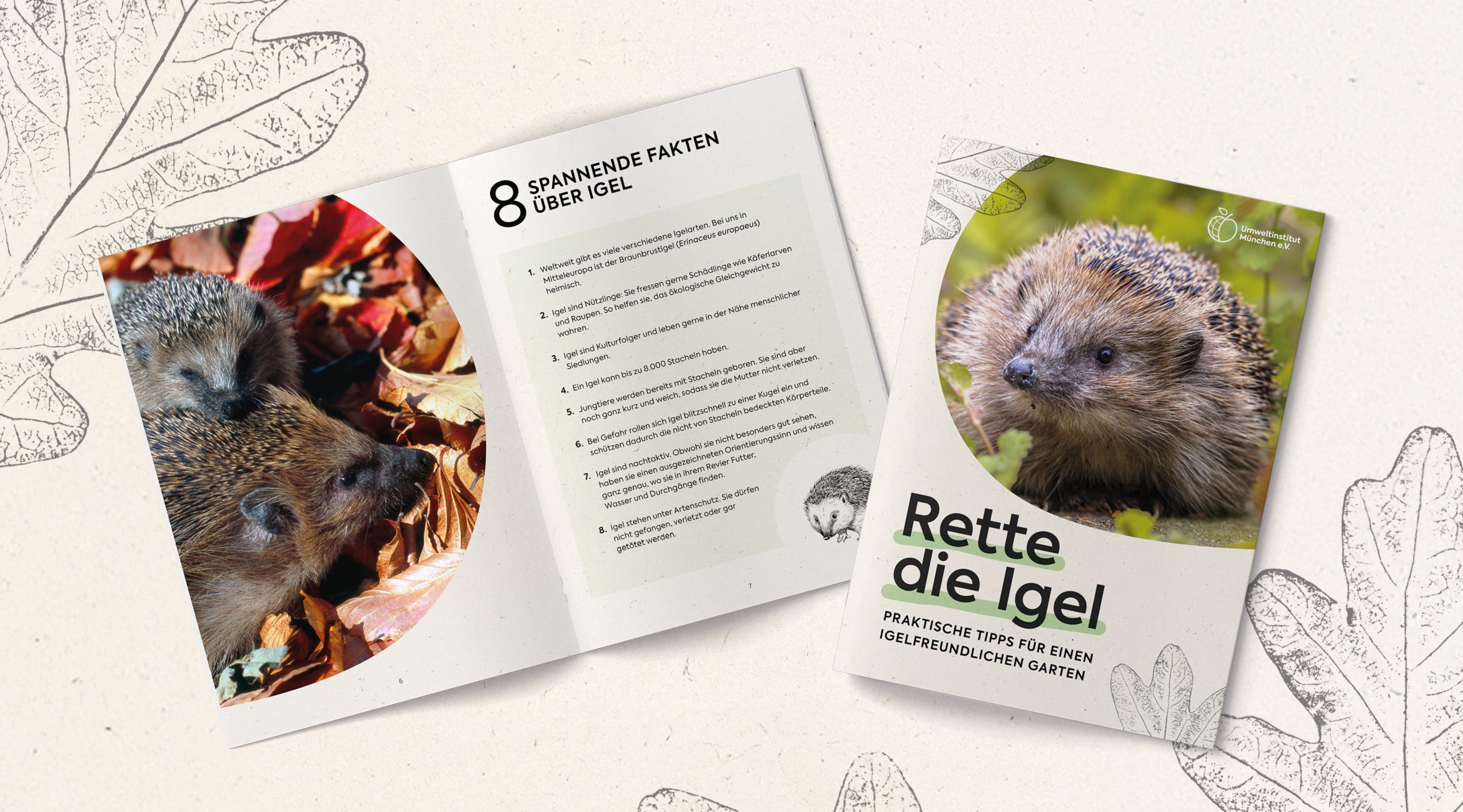 Ratgeber des Umweltinstitut München e.V. mit dem Titel ‚Rette die Igel – Praktische Tipps für einen igelfreundlichen Garten‘. Auf dem Cover ist ein Igel in Nahaufnahme zu sehen. Daneben ist eine geöffnete Seite abgebildet mit der Überschrift ‚8 spannende Fakten über Igel‘, dazu ein Foto von zwei Igeln im Laub und eine Faktenliste.