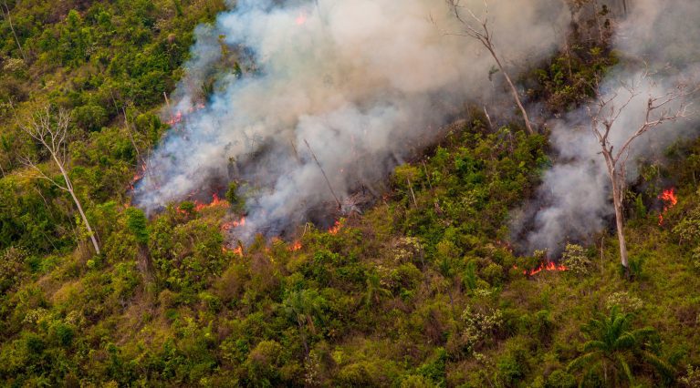 Blick von oben auf ein Waldstück, in dem ein Feuer wütet. Dichte Rauchschwaden steigen zwischen grünen und bereits verbrannten Bäumen auf.