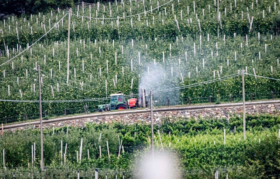 Ein Traktor versprüht Pestizide in einer Apfelolplantage im Vinschgau in Südtirol. Dabei entsteht hinter dem Traktor ein Pestizidnebel, der sich durch die Luft verbreitet.