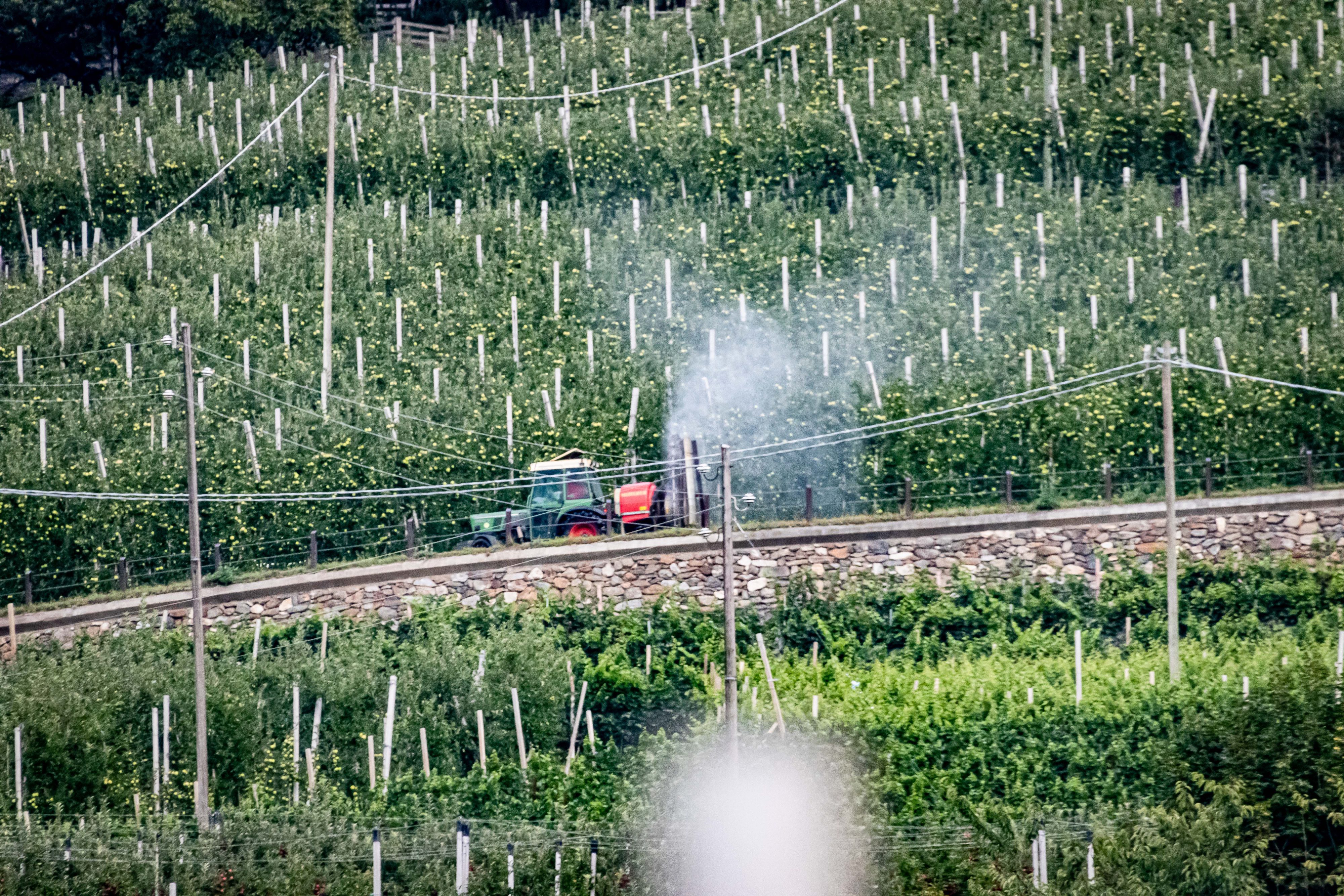 Ein Traktor versprüht Pestizide in einer Apfelolplantage im Vinschgau in Südtirol. Dabei entsteht hinter dem Traktor ein Pestizidnebel, der sich durch die Luft verbreitet.