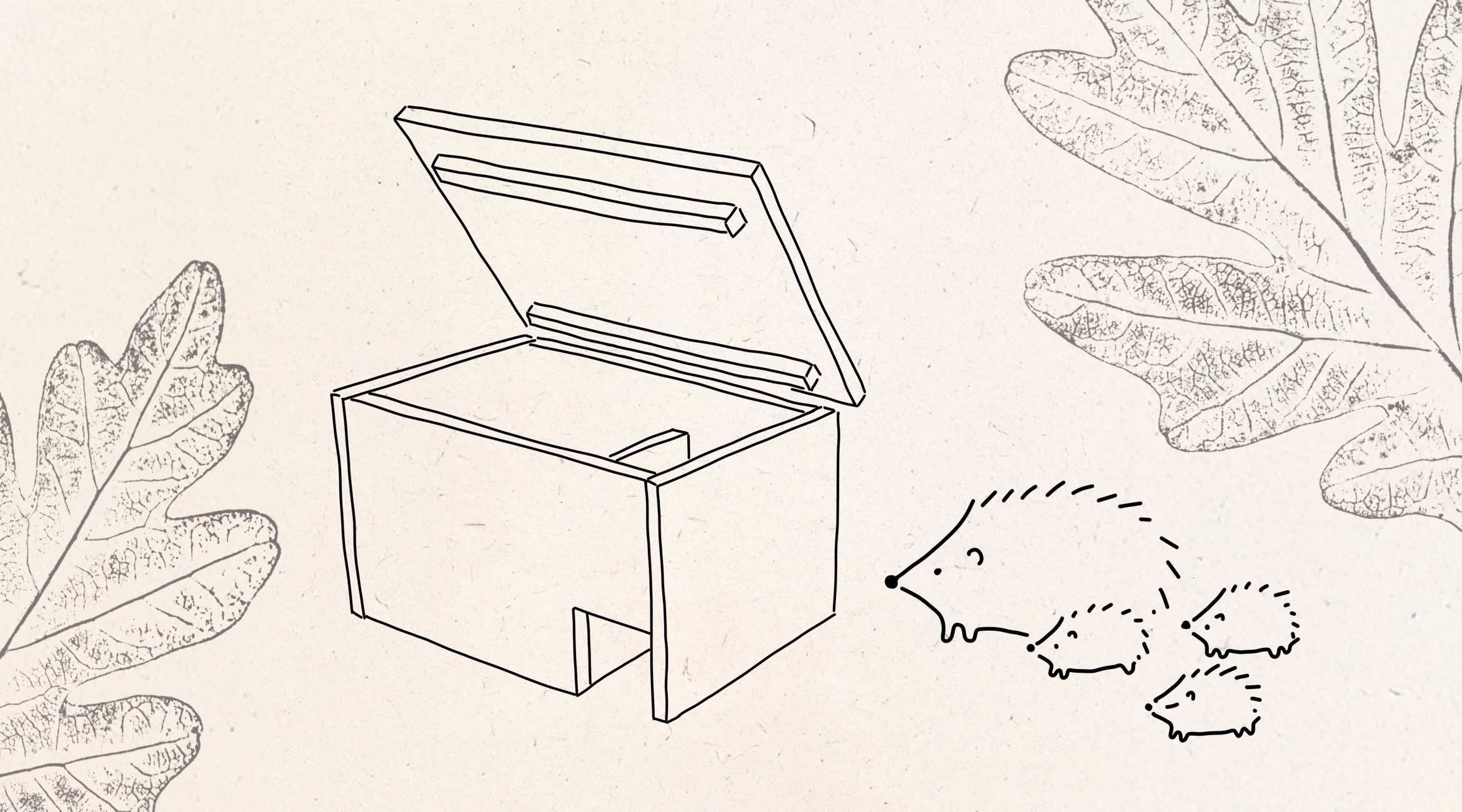 Illustration einer geöffneten Holzkiste mit schräg aufgeklapptem Deckel. Um die Kiste herum sind Werkzeuge wie eine Säge, eine Schraube und ein Schraubenzieher abgebildet. Unten im Bild sind Eichenblätter zu sehen.