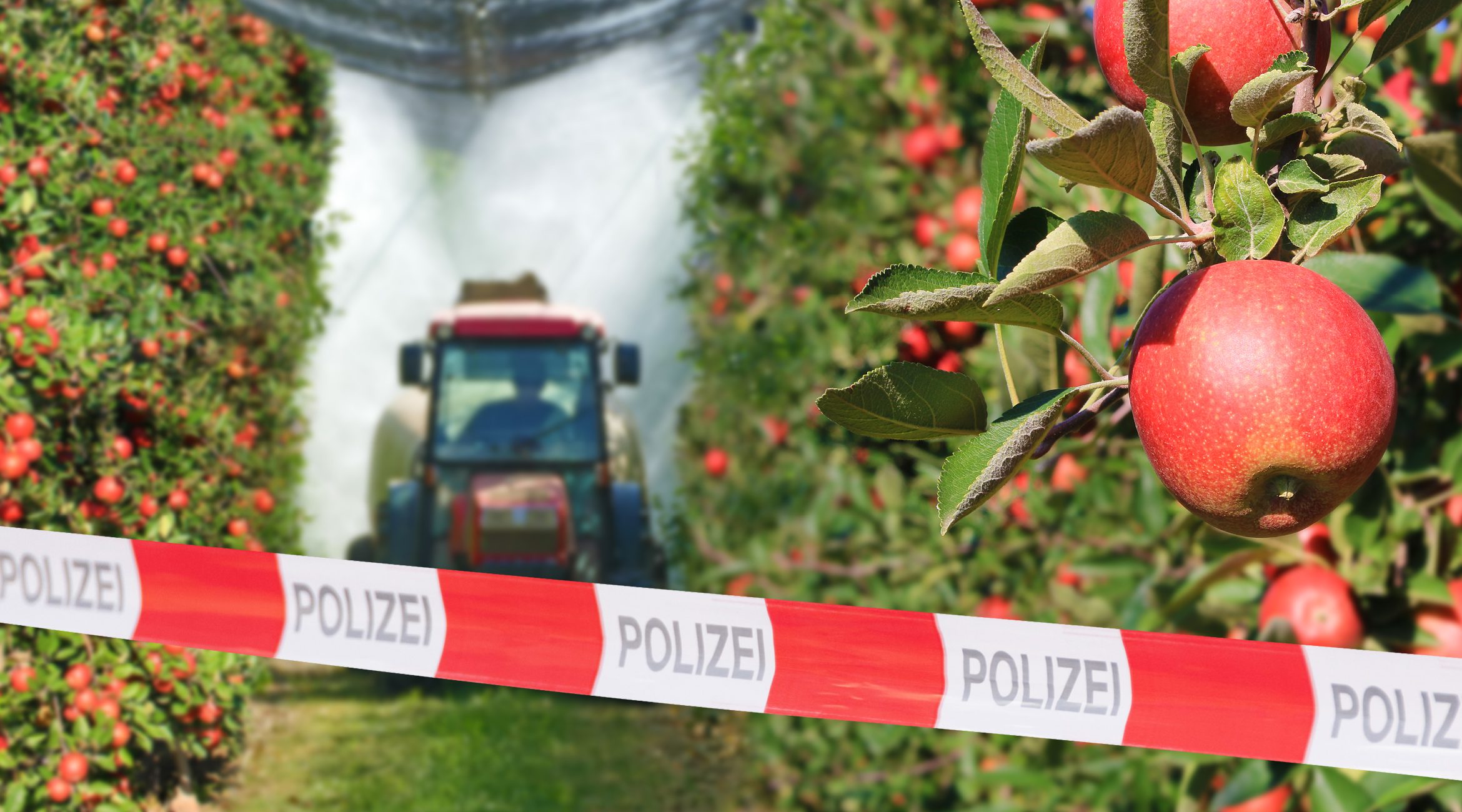 Der neue Tatort „Letzte Ernte“ im Reality-Check Der neue Tatort „Letzte Ernte“ im Reality-Check