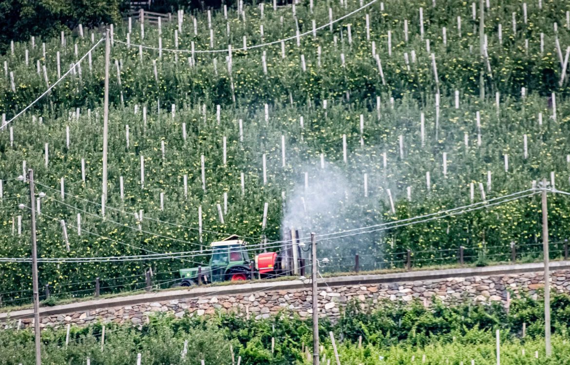 Ein Traktor versprüht Pestizide in einer Apfelolplantage im Vinschgau in Südtirol. Dabei entsteht hinter dem Traktor ein Pestizidnebel, der sich durch die Luft verbreitet.