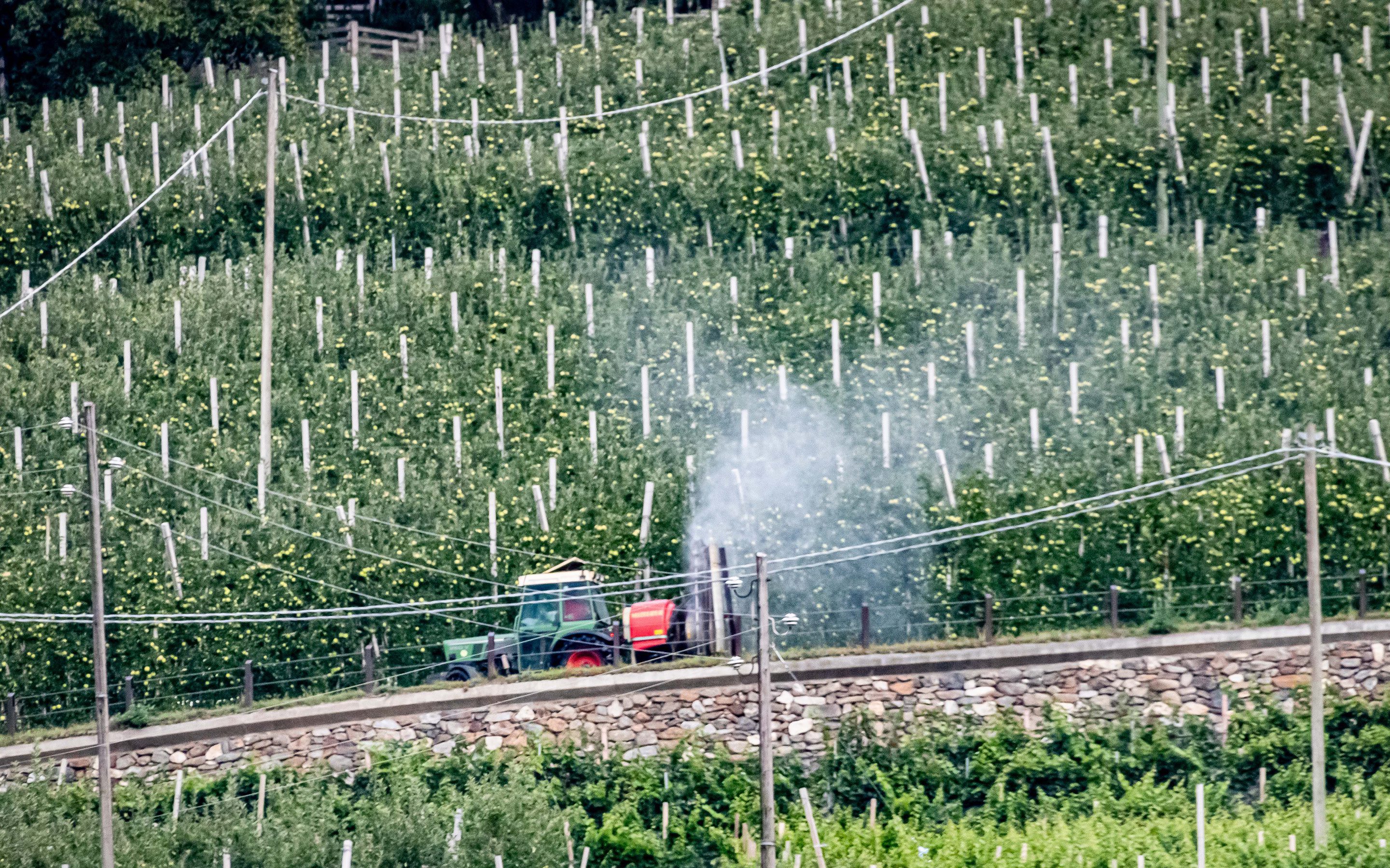 Ein Traktor versprüht Pestizide in einer Apfelolplantage im Vinschgau in Südtirol. Dabei entsteht hinter dem Traktor ein Pestizidnebel, der sich durch die Luft verbreitet.