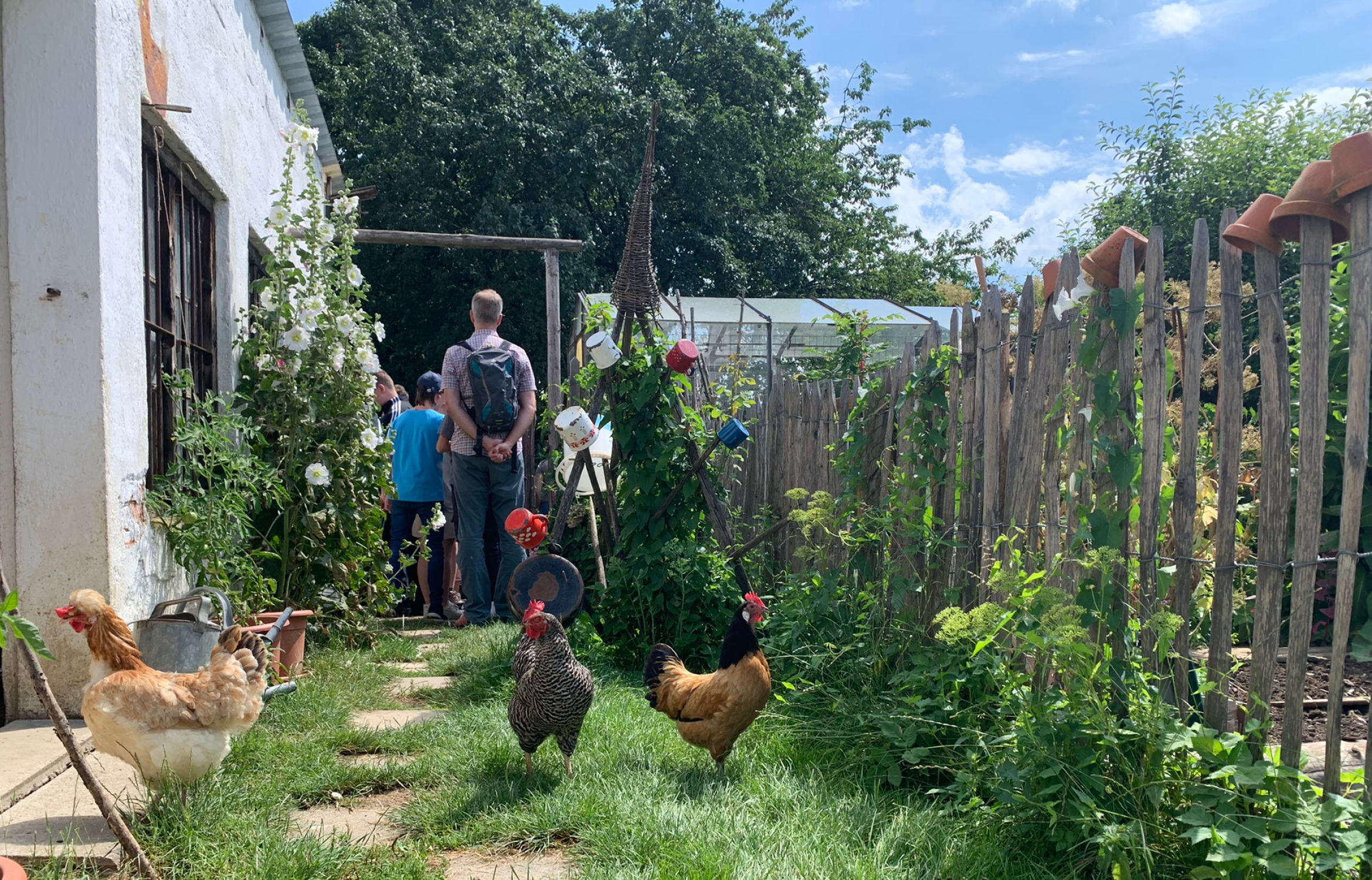 Bild von einem Hausgarten auf einem Bauernhof mit freilaufenden Hühnern. Im Hintergrund steht eine Besuchergruppe.